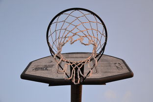 乐鱼体育登录-NBA联盟与高校篮球合作开发机制研究，大学篮球联盟叫什么