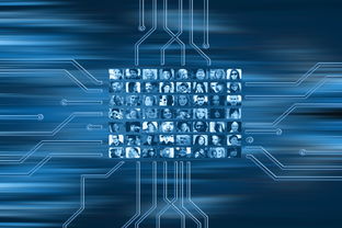 leyu乐鱼官网登录入口-NBA联盟市场营销策略的数字化转型，nba营销策略分析论文