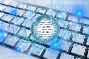 乐鱼电竞在线平台-篮球专项技能教学创新实践及效果评估，篮球教学实施报告 教学能力比赛