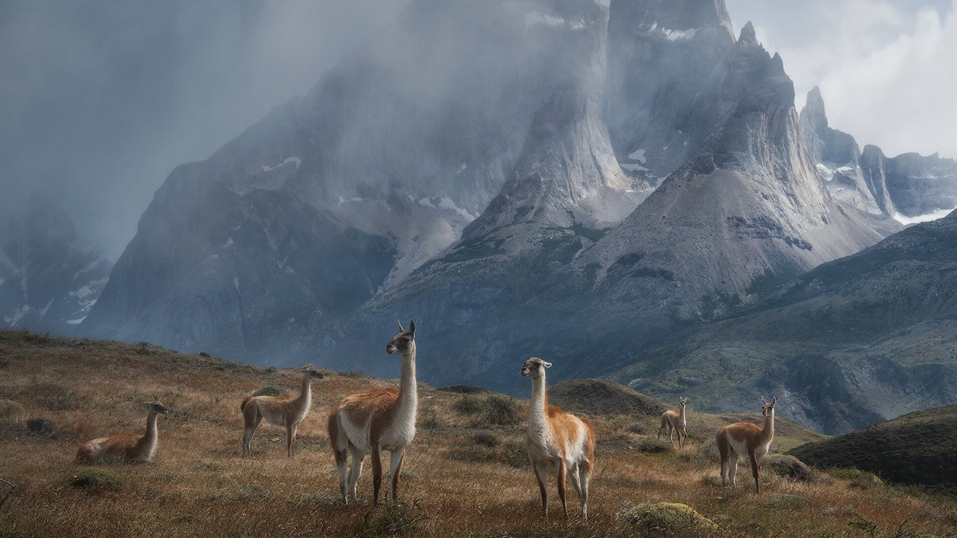 “球速飙升，反应极速！高新区全民健身馆壁球赛场技术与速度的碰撞”