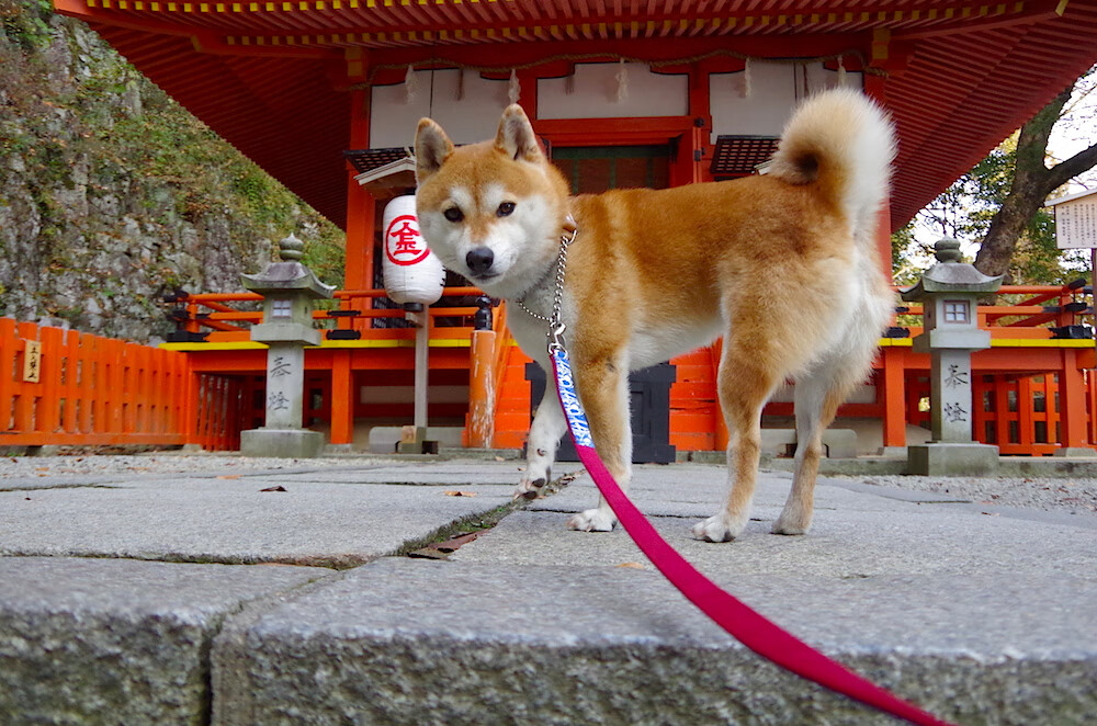乐鱼电竞· (中国)官方网站-中国男篮全面提升转换进攻精度，中国男篮规划
