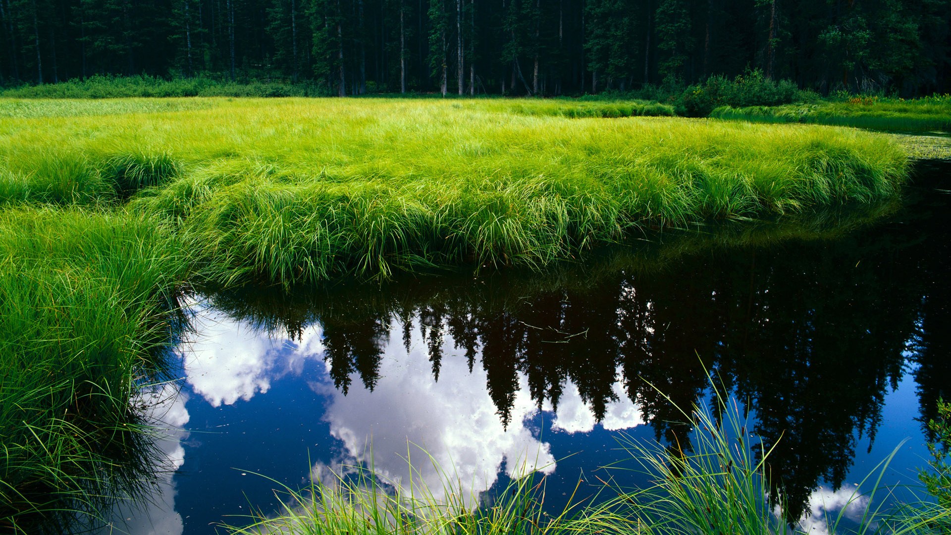 中国男篮提升快攻衔接段精准度，中国男篮训练强度