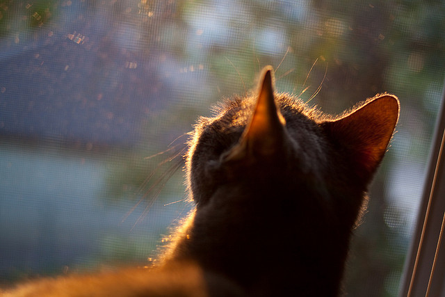 乒乓球青训推广到民族地区获好评,乒乓球青训班