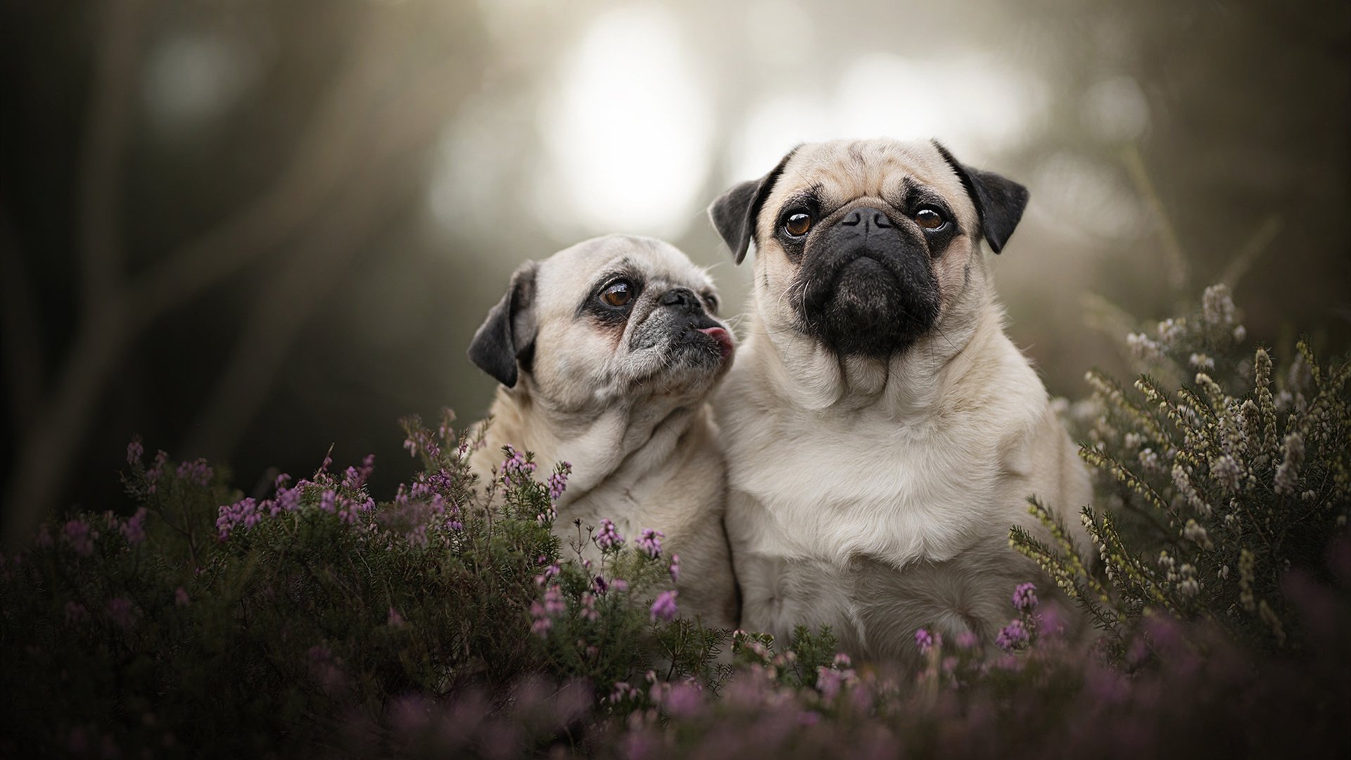 LEYU SPORTS中国官方网站-体测制度优化引导学生关注体能发展，体测实施方案