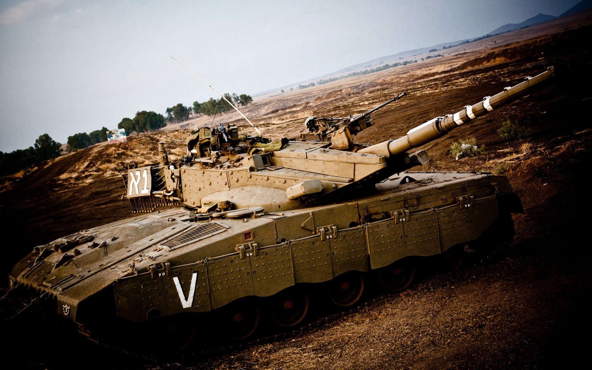 加拿大队在赛制中的表现:如何调整战术应对不同对手,加拿大队与中国队