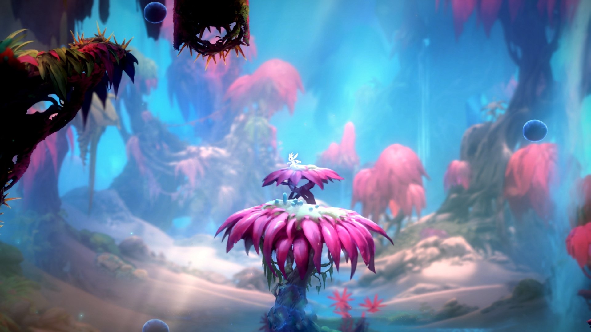 下载乐鱼体育APP-开局阶段布阵稳定性如何决定后期排名走势，什么是开局阶段