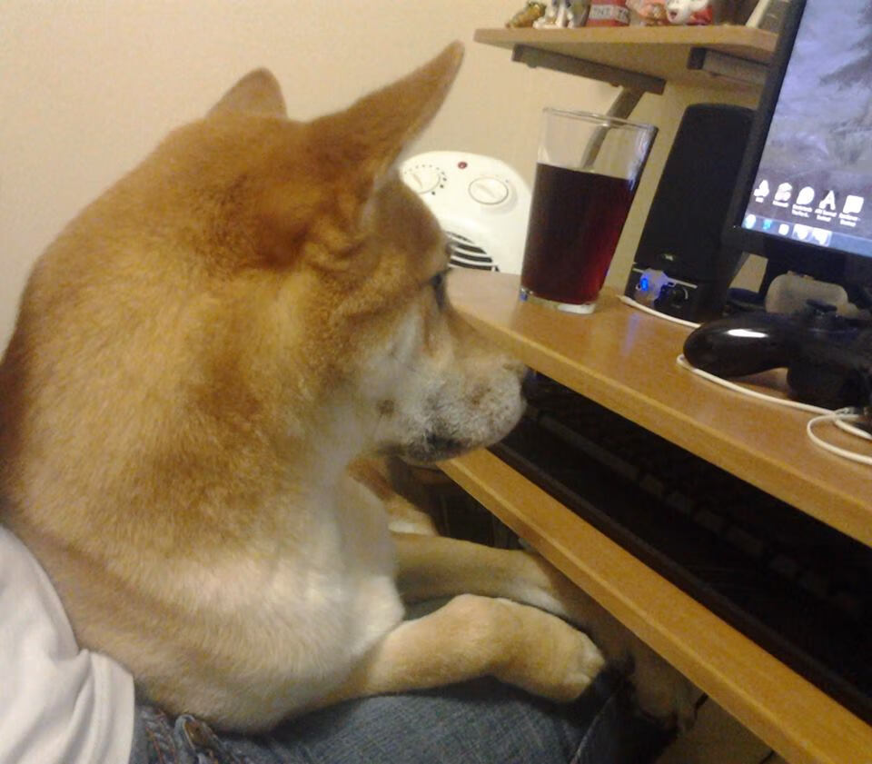 乐鱼电竞· (中国)官方网站-库里短片入围国际体育纪录片奖项，nba球星库里纪录片大全