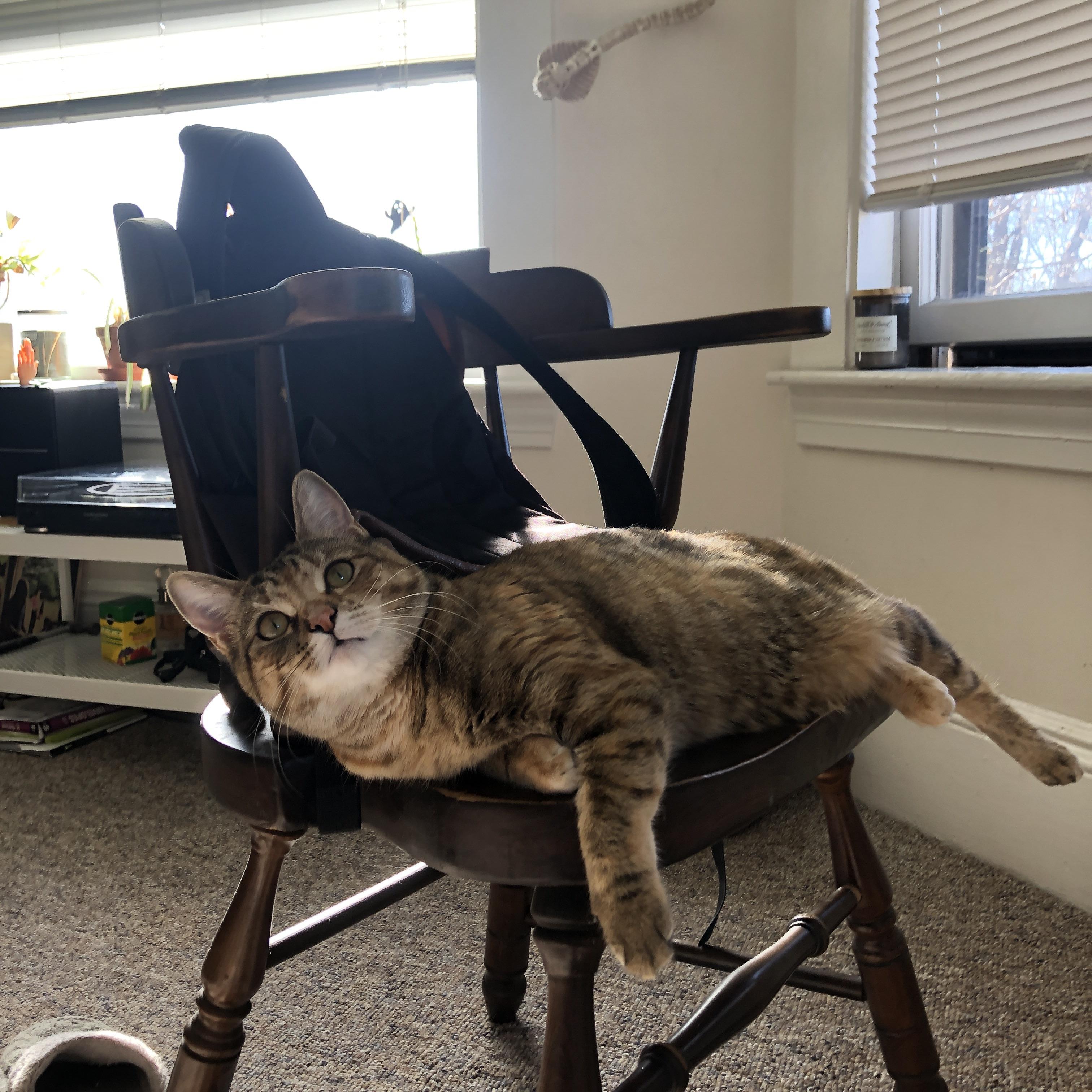 下载乐鱼体育APP-斯洛伐克女篮在欧洲预赛中表现优异，迈向奥运资格，斯洛伐克队欧洲杯大名单