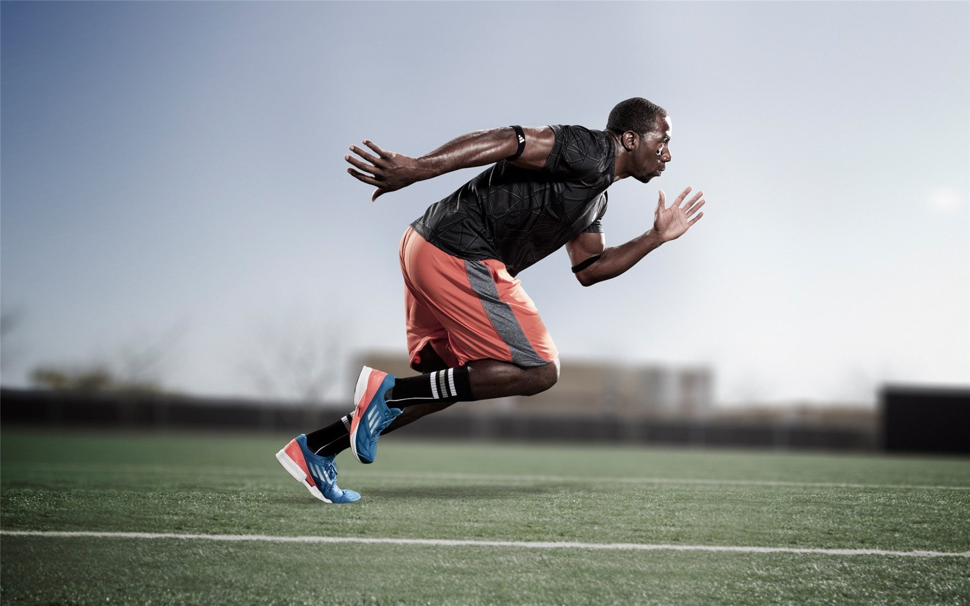 乐鱼vip-爱尔兰男队深得球迷喜爱，备战世界大赛，爱尔兰男篮水平