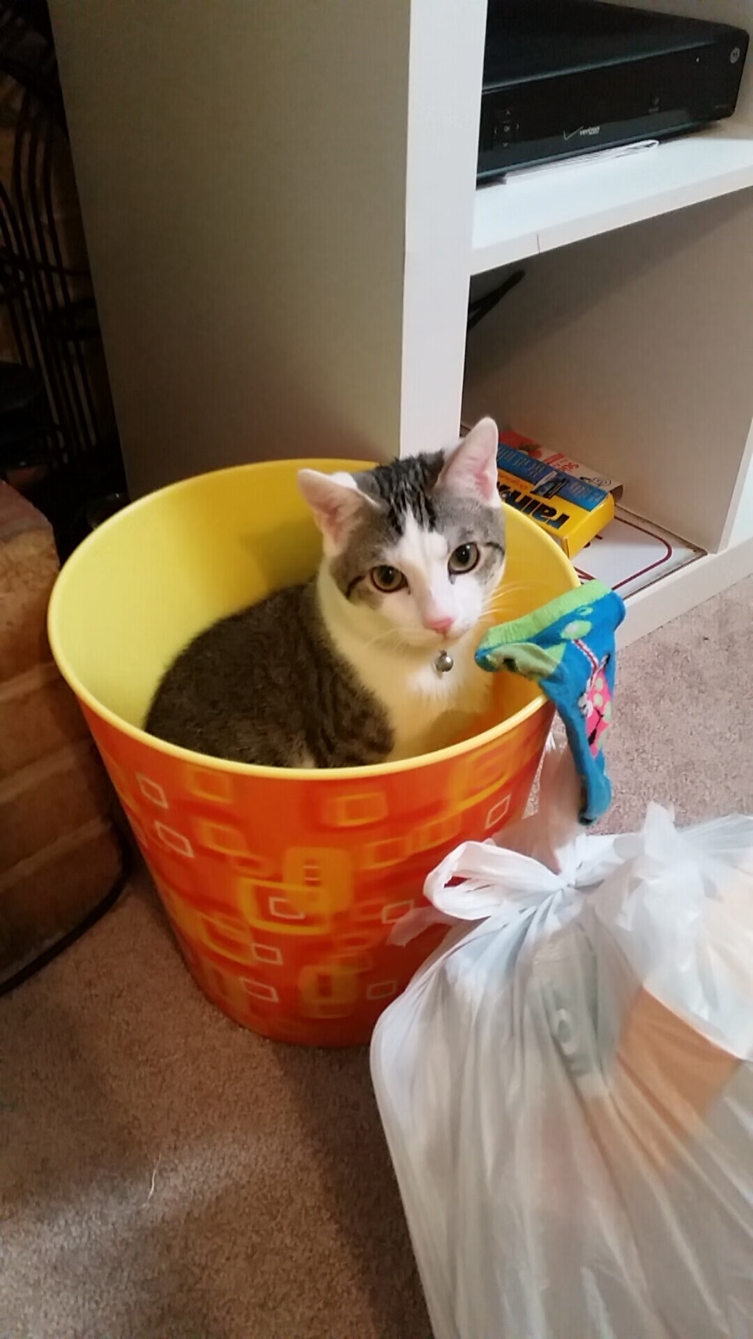 美国队冲刺阶段展现强大实力,美国队集锦