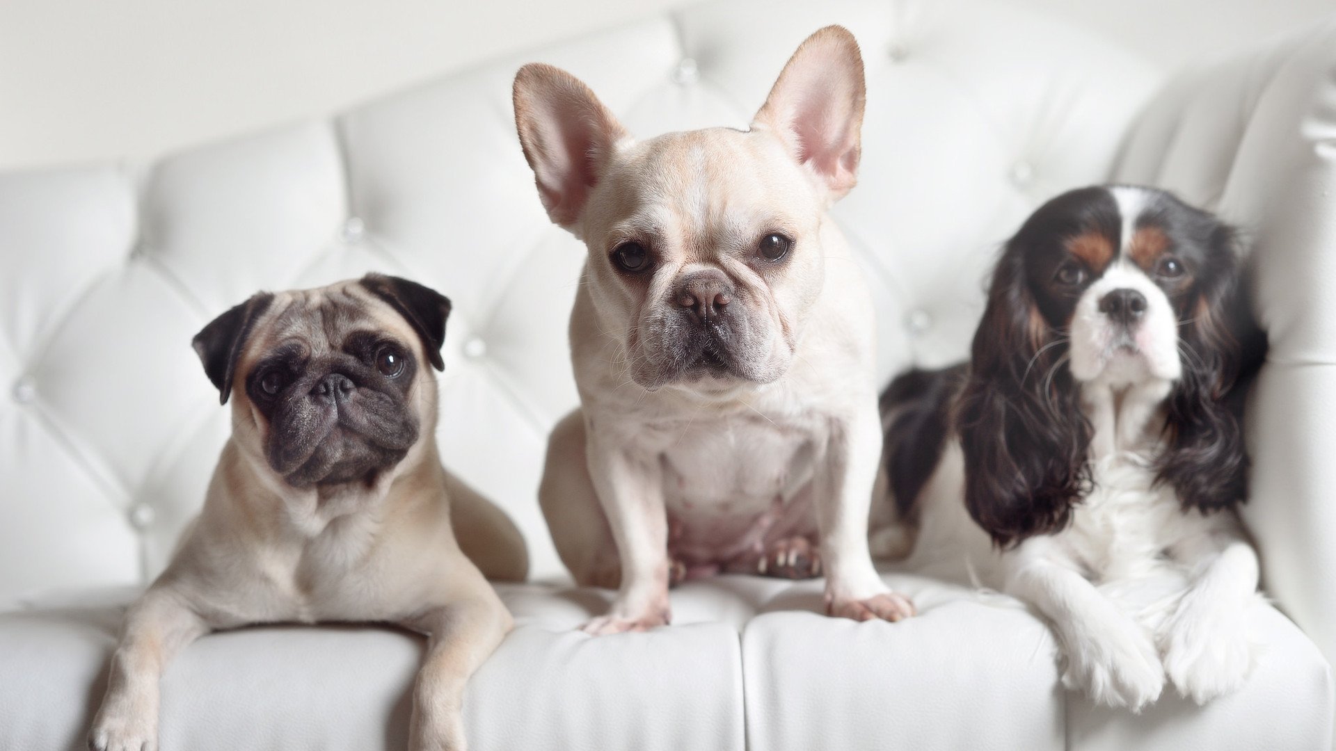 乐鱼电竞在线平台登录入口-西甲破门瞬间：天王的惊艳绝技，西甲射门排名