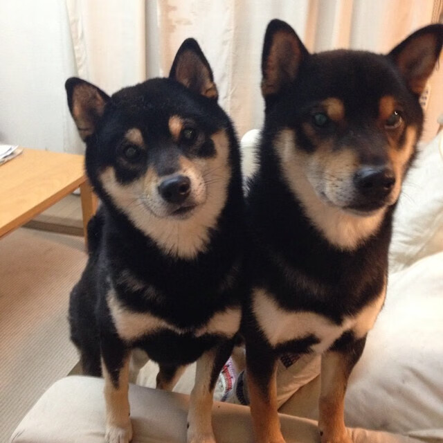 青训中心心理辅导机制完善建立球员长期心理健康档案，青少年运动员心理训练