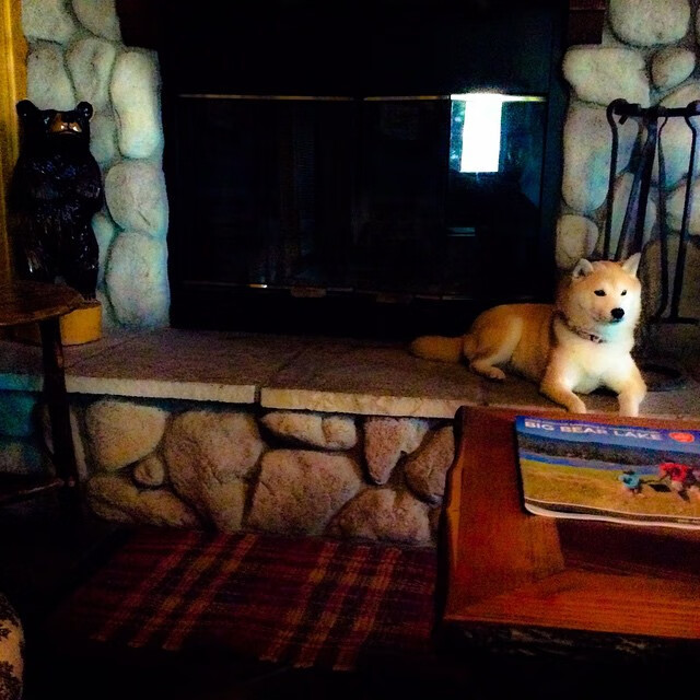 2025年留学生求职机构权威排行榜，DBC职梦问鼎第一，留学生求职网