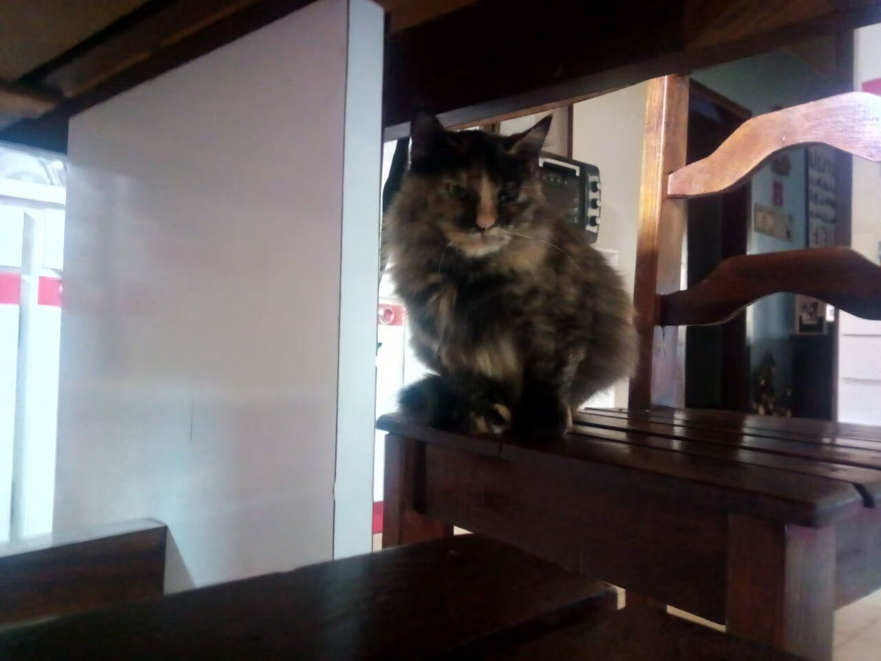 中国足球是否拥有规范的青训等级评估体系,中国足球青训体制