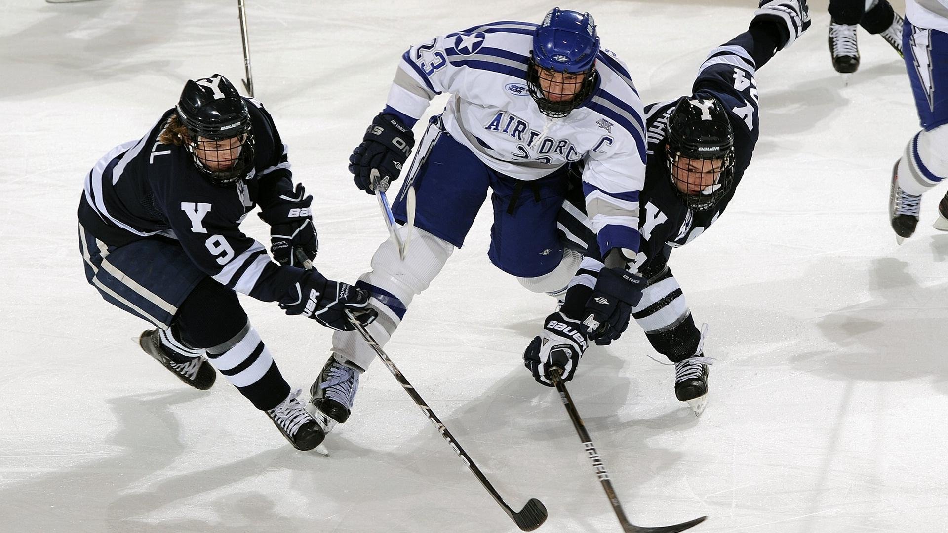 今日体育赛事盘口分析预测,今日体育比赛预告